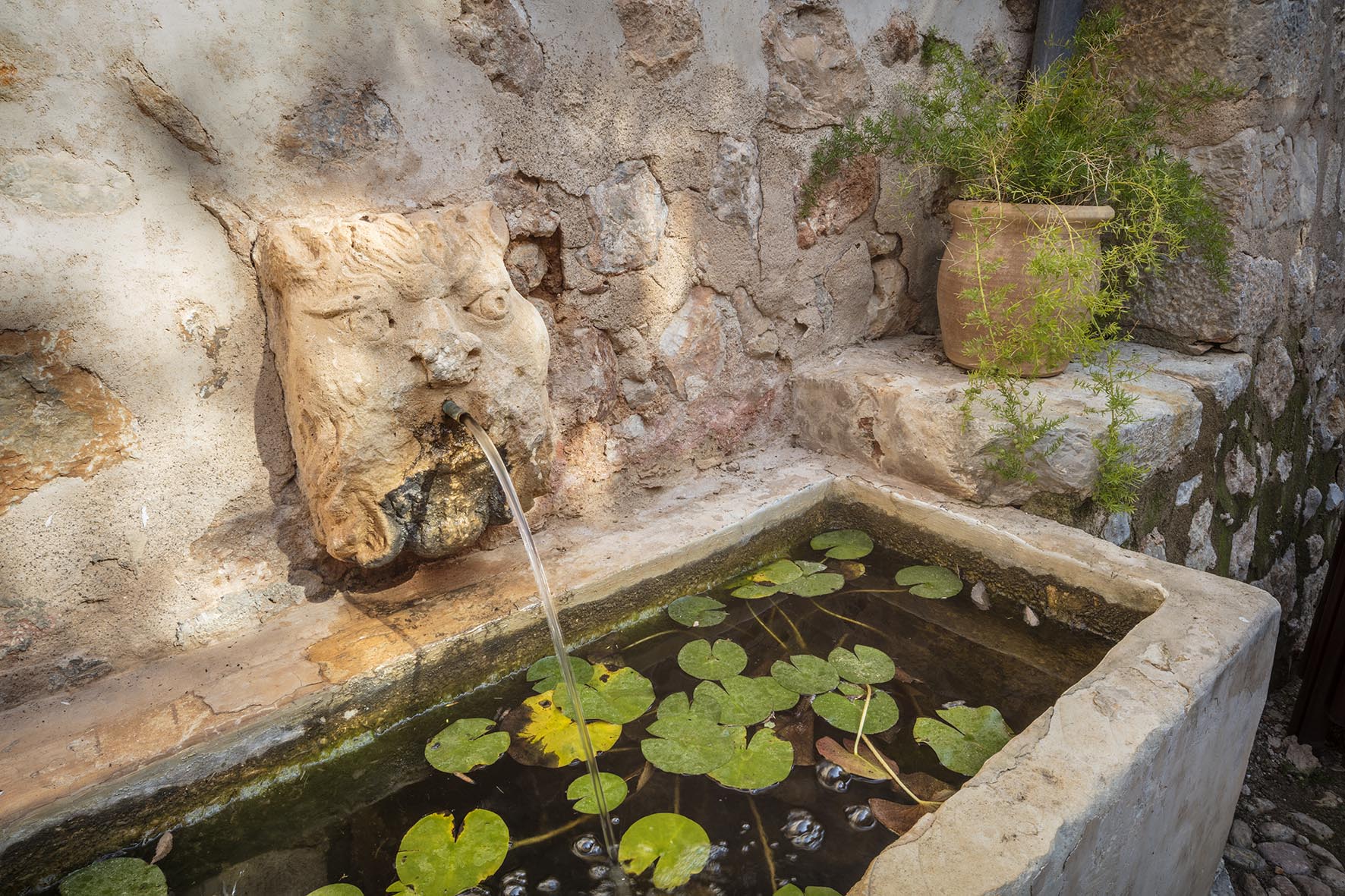 Patio trough